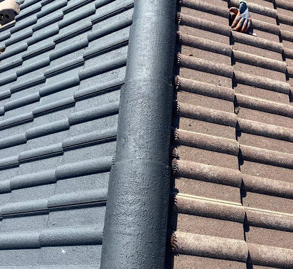 Demoussage à La Rochette (77000) en Seine-et-Marne (77)