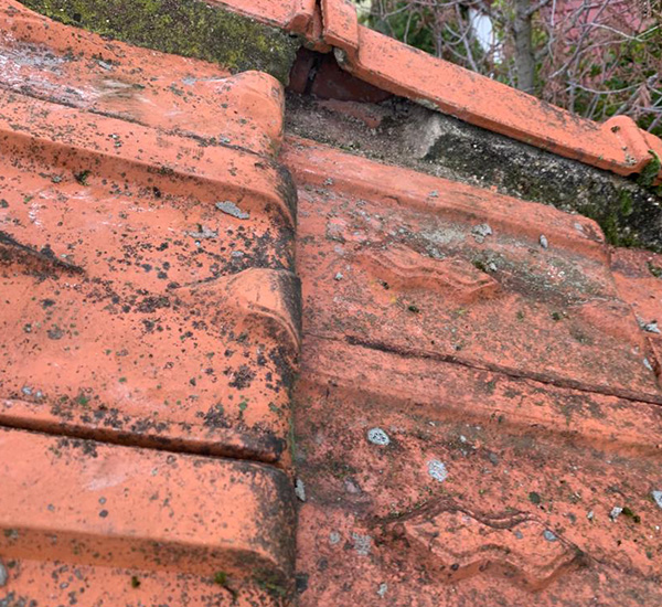 Ramonage à La Rochette (77000)  en Seine-et-Marne